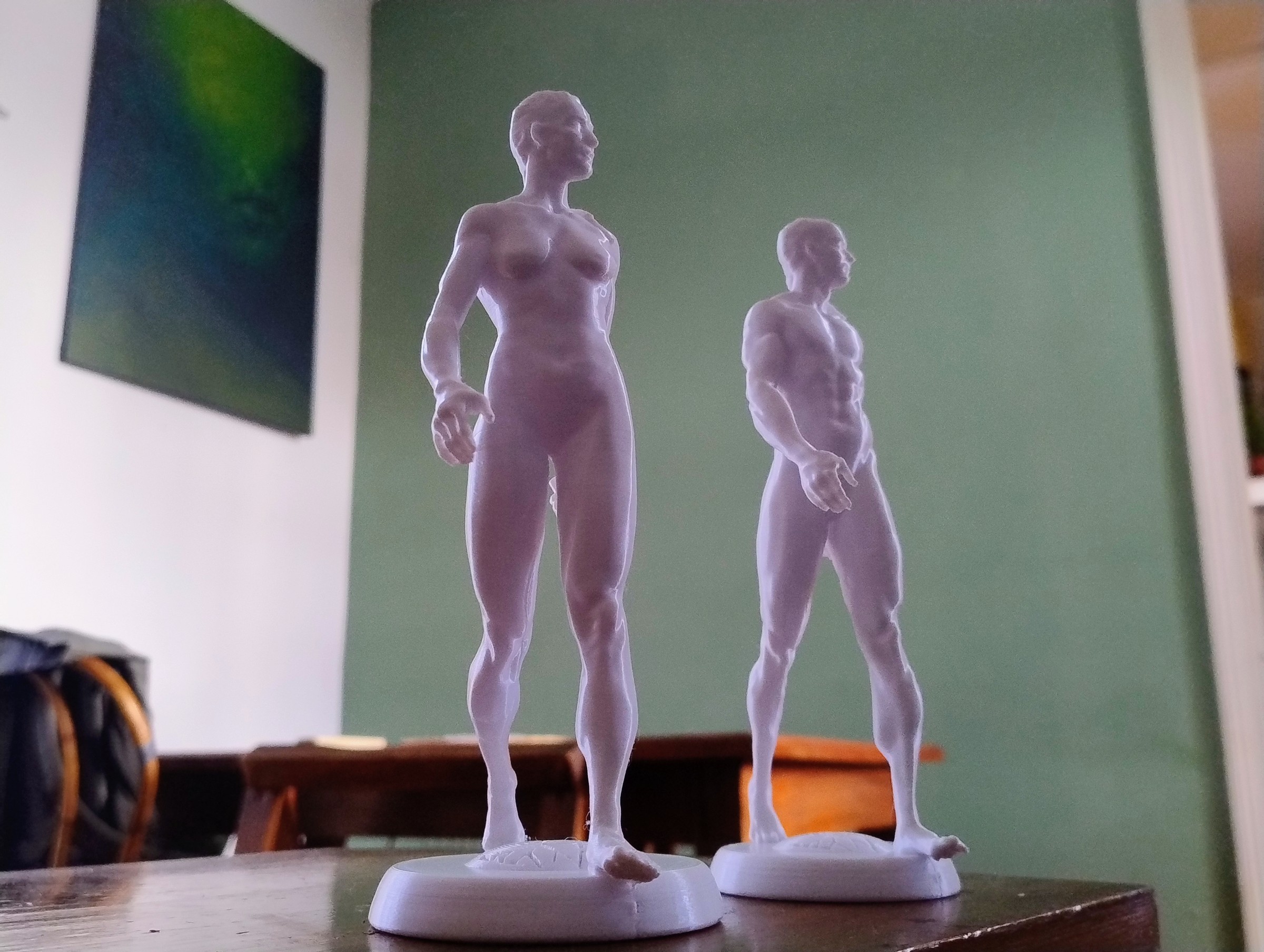 Anatomía