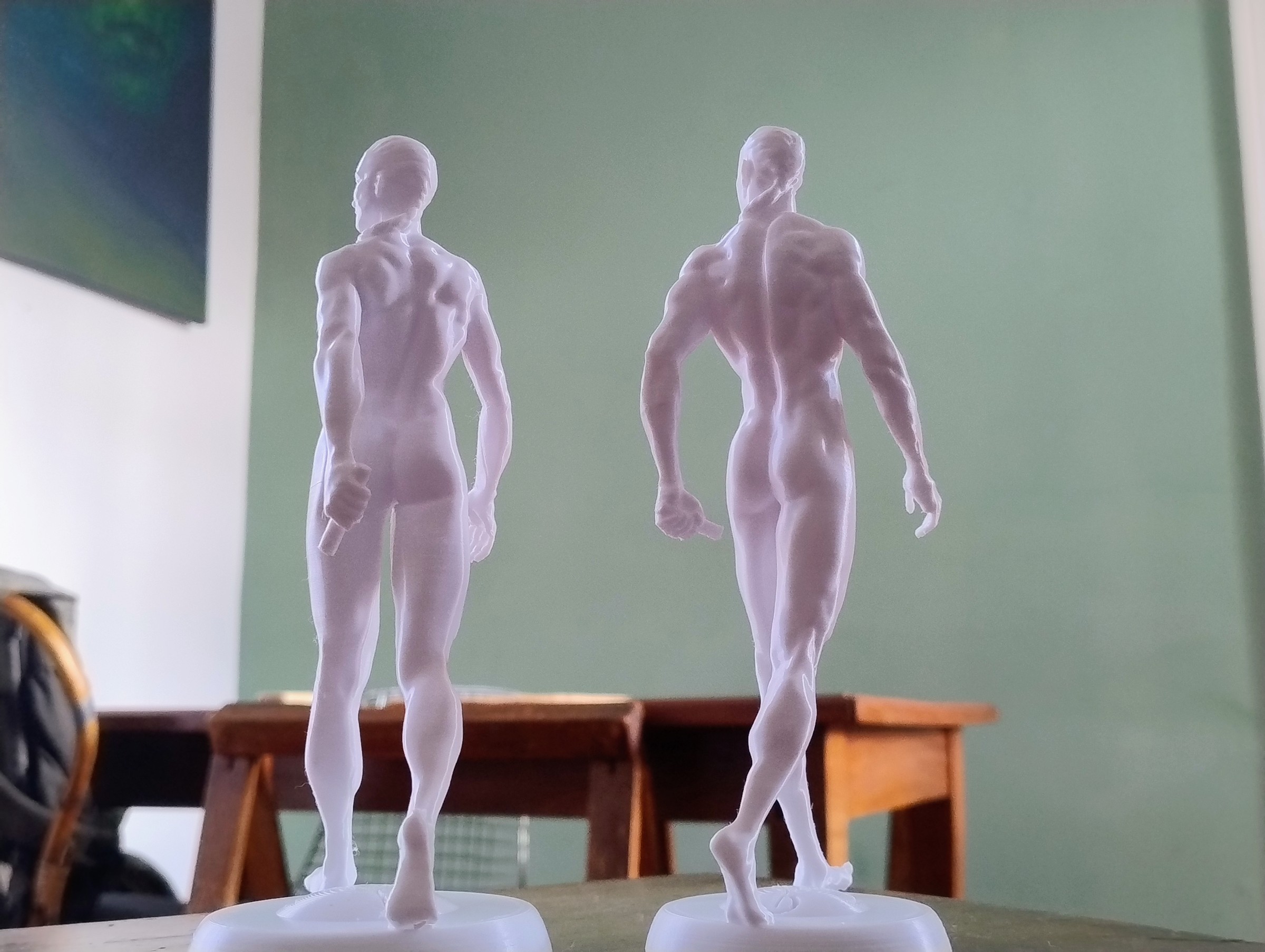 Anatomía